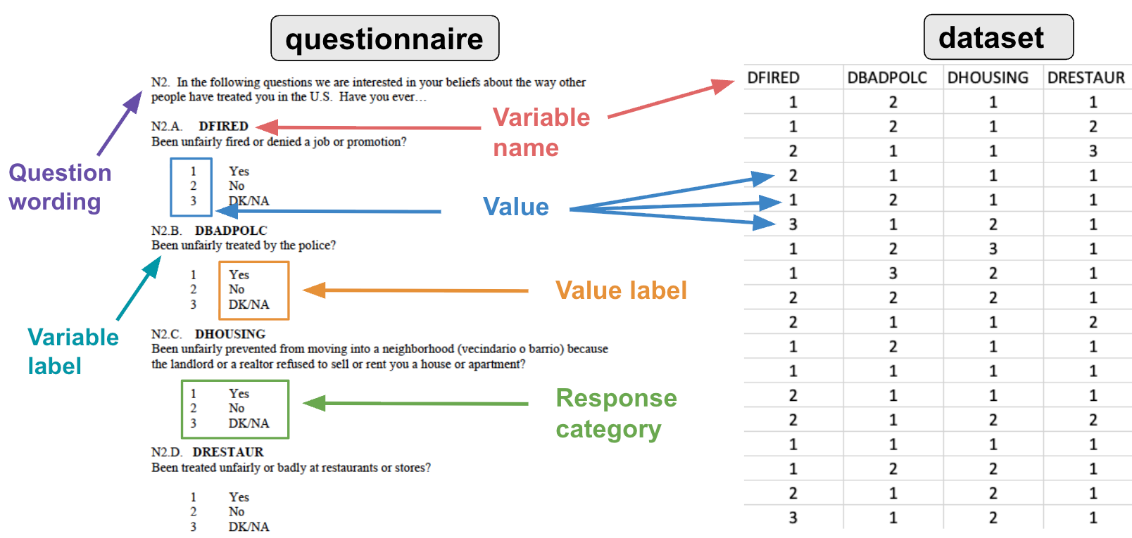 A diagram links parts of a questionnaire to a dataset. Arrows show the question wording, variable label, the short code such as DFIRED becomes the variable name, the numbered choices 1, 2, and 3 are the values stored in the dataset, and the text choices Yes, No, and DK/NA are the value labels, value and value label together are called response category.