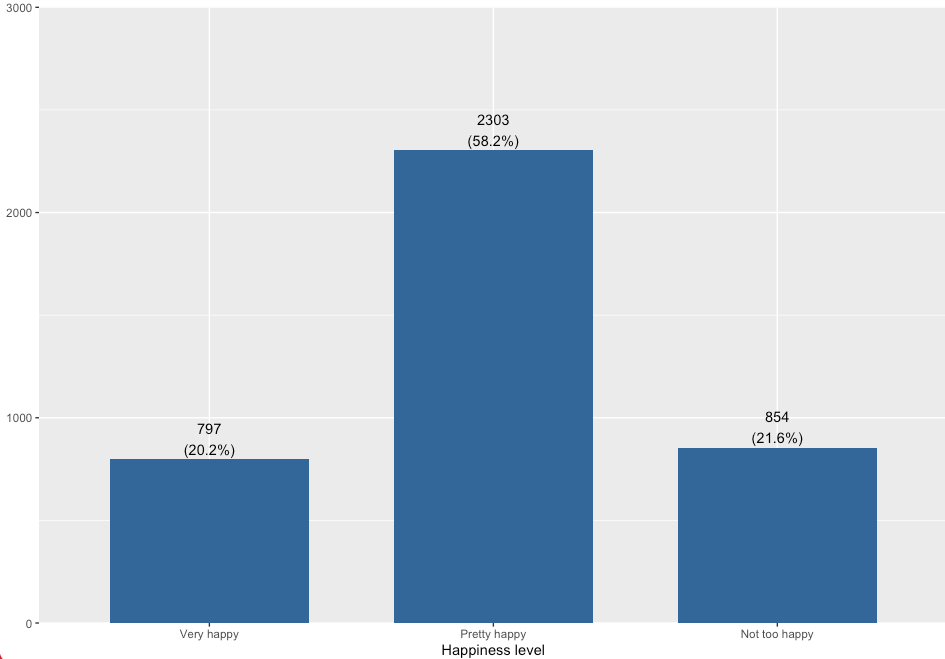 Bar graph of happiness level: Very happy, 797 (20.2%); Pretty happy, 2,303 (58.2%); and Not too happy, 854 (21.6%).