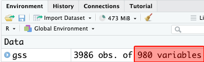 RStudio data view: there are 980 variables before recoding.