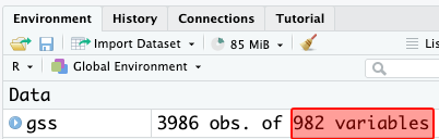 RStudio data view: there are 982 variables after recoding.