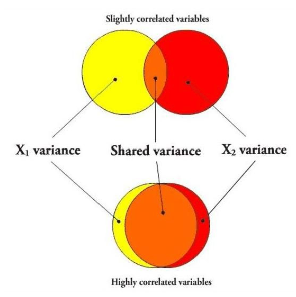 A diagram uses overlapping circles to illustrate multicollinearity, showing two variables with overlapping areas representing shared variance. The figure contrasts slightly correlated variables with highly correlated variables by increasing overlap between the circles.