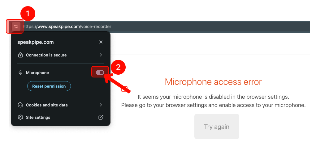 Microphone error