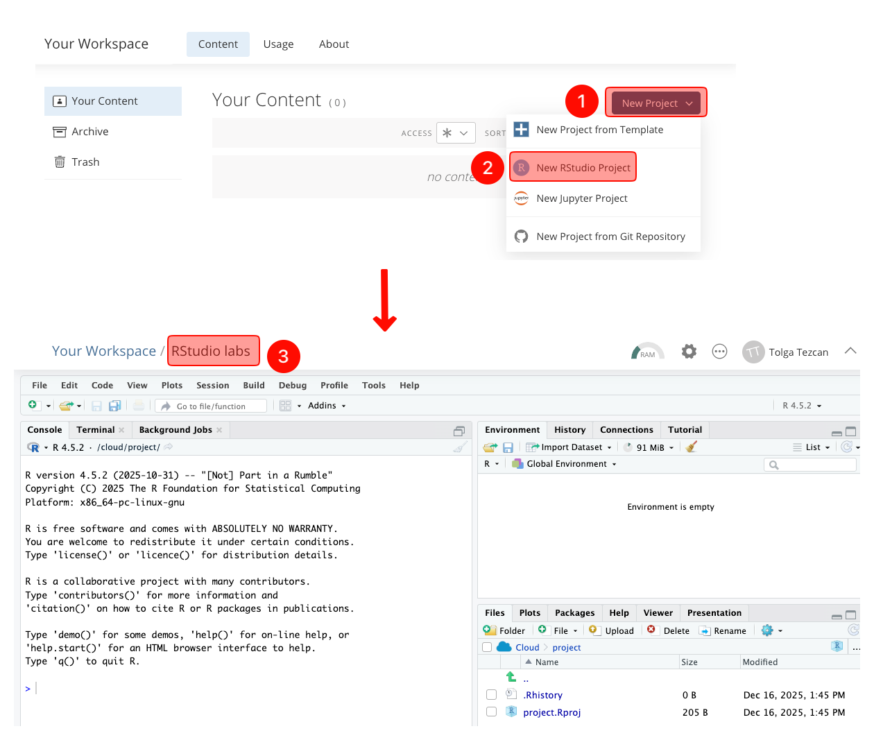 Posit Cloud workspace screen showing steps to create a project: (1) click “New Project,” (2) select “New RStudio Project” from the dropdown, and (3) the RStudio interface opens below in the workspace.