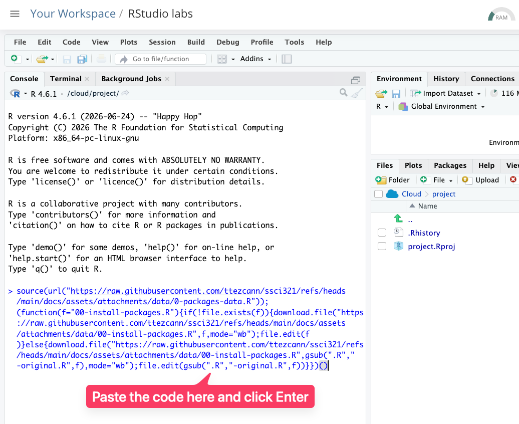 Paste it into RStudio console, and click enter.